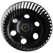 Volute
