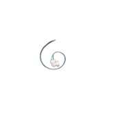Ampoule E14 250v