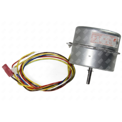 Moteur (220V)