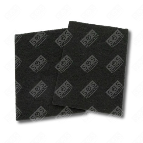 LOT DE 2 FILTRES CHARBON  320X220 MM HOTTE - 74X2375