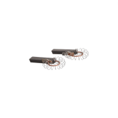 Charbons moteur