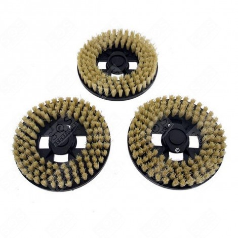 JEU DE 3 BROSSES DURES CIREUSE - 50235498008