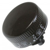 Bouton