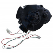 Entrainement (complet) d'origine