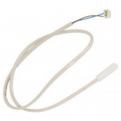 Sonde