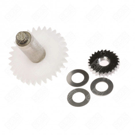 PIGNON ENTRAÎNEUR DIVERS PETIT MÉNAGER - SS-760118
