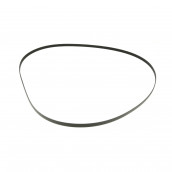 Courroie poly v d'origine