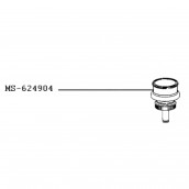 Support capsule