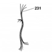 Filerie thermistance (repère 231)