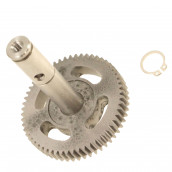 Arbre d'entrainement