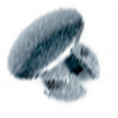 Couvercle Porte Silver